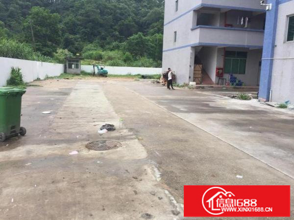 坂田杨美五和新出一楼100到5000平的厂房仓库出租