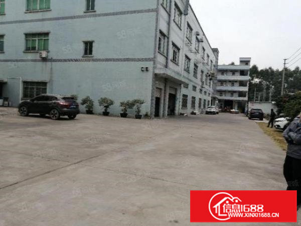 新空出原房东独院标准厂房5600平方，形象好，交通方便好招工