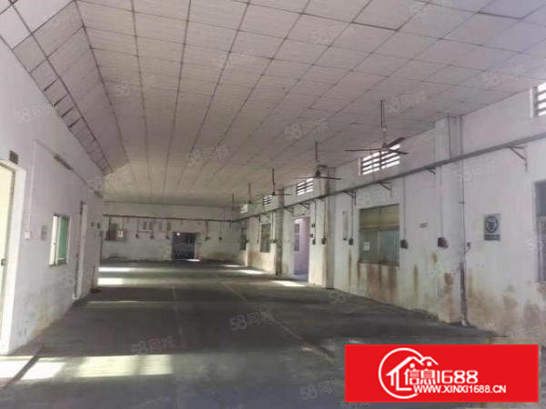 凤深大道边独院钢结构厂房6200平方米砖墙到顶低价出租