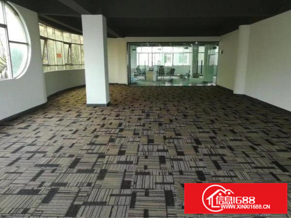 坂田黄金山带装修103平168平248平350平米