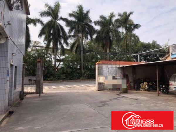 松岗独门独院超实用厂房出租