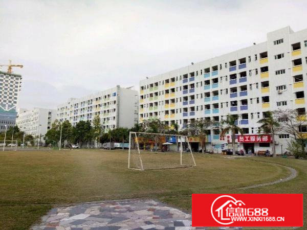 坪山竹坑大工业区原房东厂房一楼3800平米