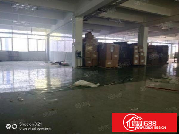 独门独院厂房4800平米，可分1200平米，600平米