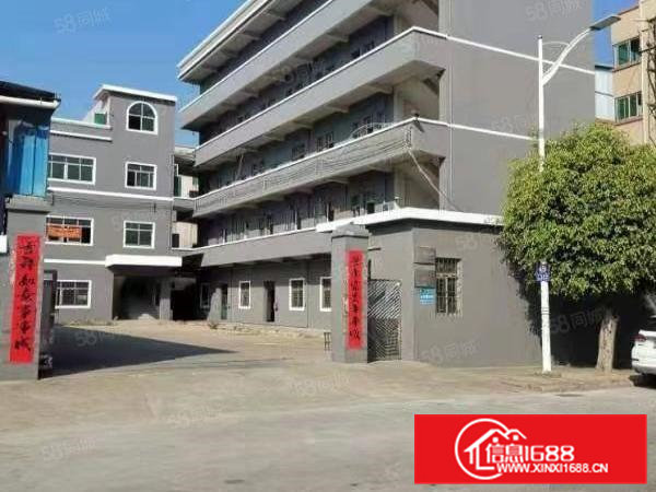 大朗独门独院厂房5500平方招租，工业用地