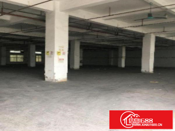 出租龙岗区上李郎科技园C栋一楼