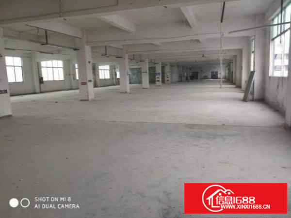 高新园林式园区独栋1600平米厂房出租
