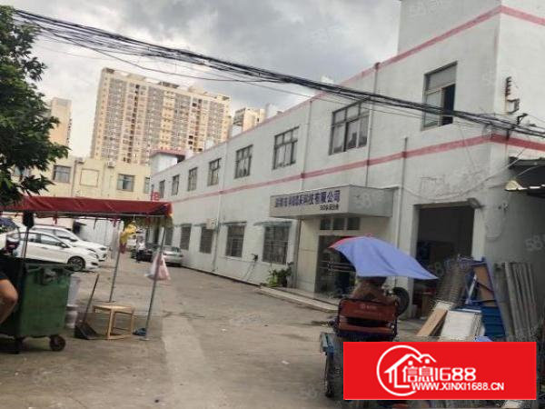 沙井独门独院厂房招租2100平方5600平方公摊小