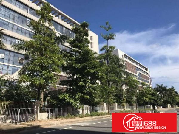 标准一楼6.5米带牛角红本厂房形象好坑梓龙田