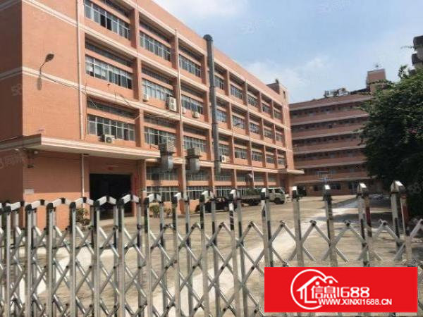 上木古原房东200平500平800平1000平厂房招租可分租