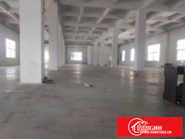 清溪塘厦科苑城标准厂房一楼930平出租周边环境好招工易