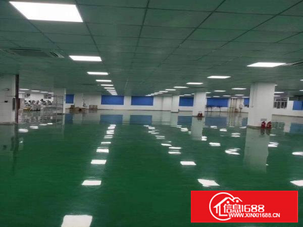 塘厦田心工业区标准2楼3000平方！现成装修！带环评