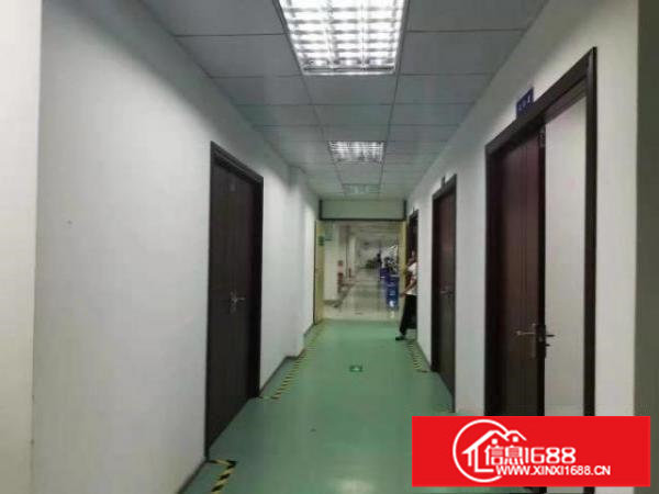 龙华大浪高新产业园厂房出租