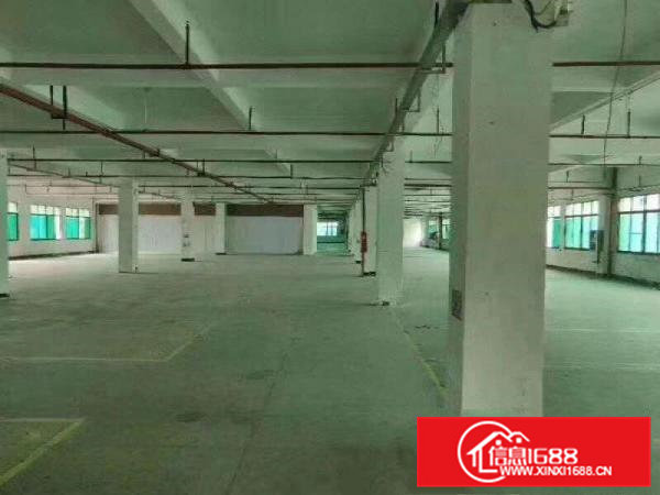 清溪主干道边原房东5600平方出租