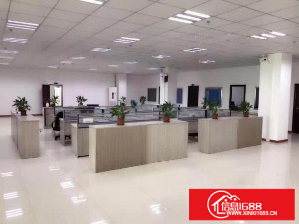 清溪三中原房东独院厂房5500平方低价急租