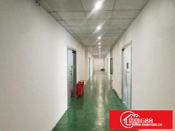 寮新出1600平豪华装修厂房招租可分租