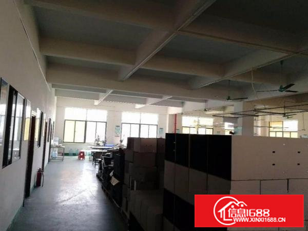 原房东,清溪800平米精装修3楼标准厂房,现成办公室