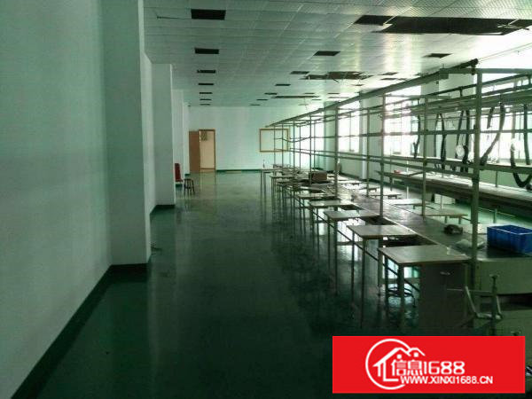 龙岗北通道边五联新出900平豪华装修厂房出租;无公摊可分租