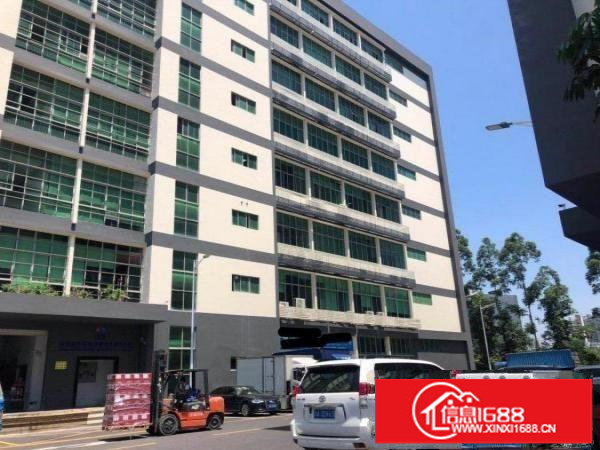 木棉湾龙岗大道旁地铁口附近厂房1000平米