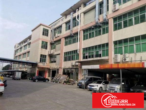 埔心一楼2080平厂房出租豪华装修超大停车场