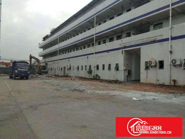 平湖独院500-3000平米可分租