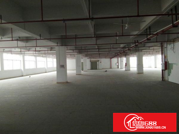 镇隆兴业工业园标准厂房带装修办公室1828平方招租