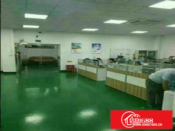 秋长超靚1800平电子厂房有消防现成现办公室