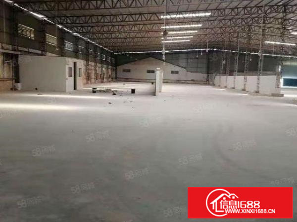 (降价啦)大岭山5000平原房东独院单一层钢构厂房仓库出租