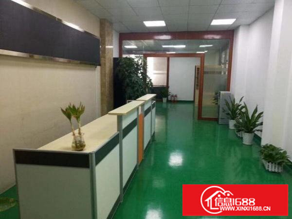 一手房东坪山工业园红本厂房一楼带牛角1900平米