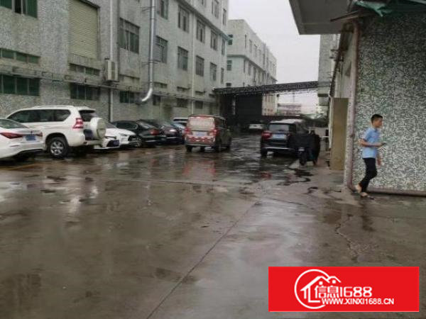 沙井新桥高速旁芙蓉工业区一楼2050平米带装修厂房出租