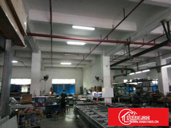 新联一楼厂房出租700平米，消防喷淋，有装修水电齐全