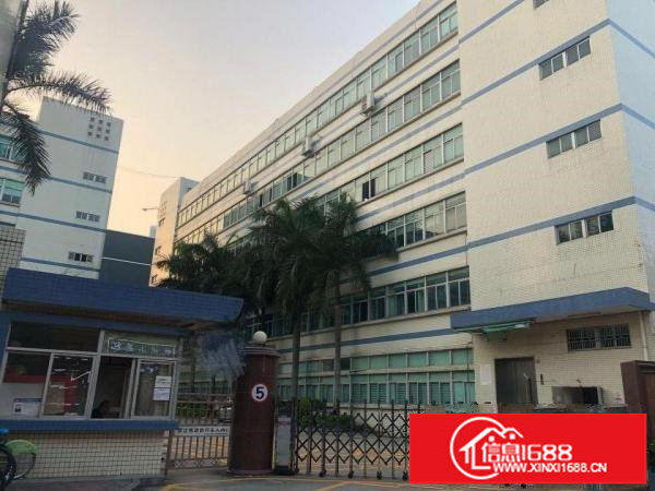 坂田坂雪岗主干道旁原房东1-6层8000平米带红本可分租