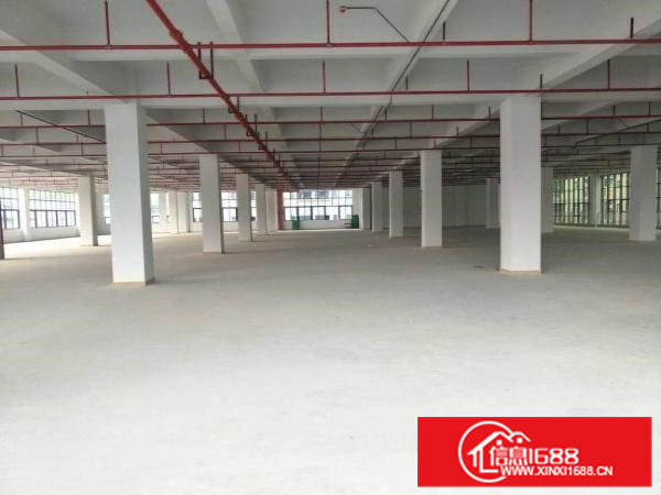 凤岗高端厂房出租，单层面积4000平方，可分租！