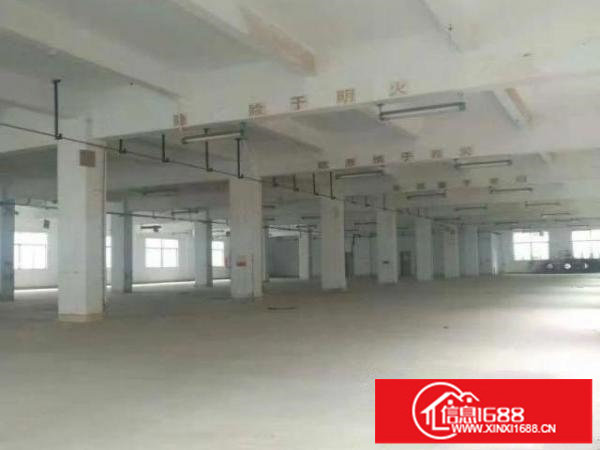 龙岗中心城食品产业园独栋6000平分租送办公室装