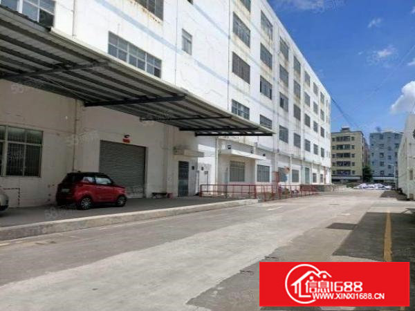 观澜大道边原房东独门独院，带卸货平台空地一万平可分租