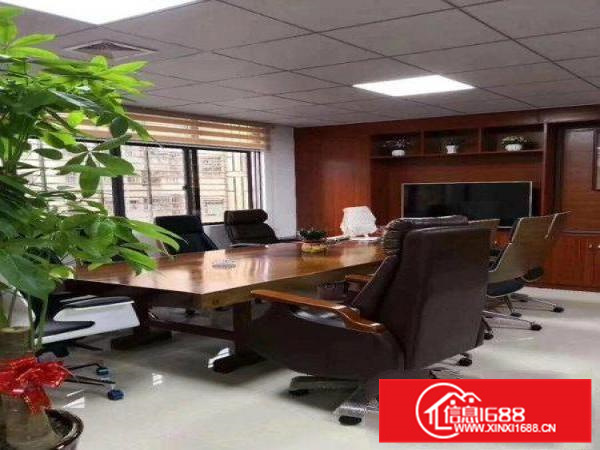 新出原房东独院4800平方证件齐全可办环评