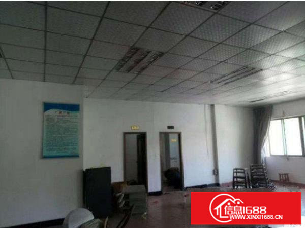 横岗茂兴路标准一楼700平米招租带精装修地坪漆