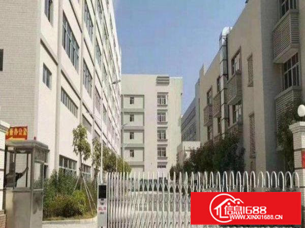 中心原房东独院工业园区楼上3200平方厂房出租