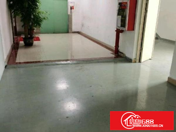 龙华大浪园区靠近高速新出楼上900平