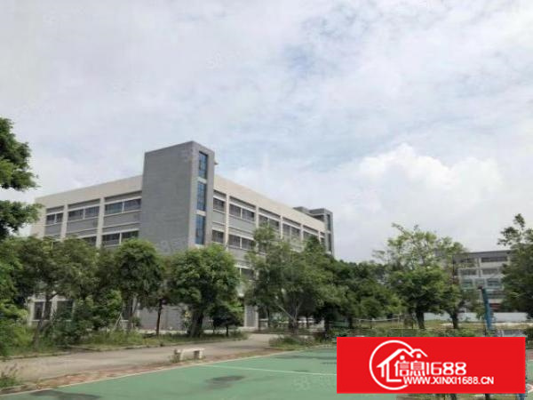 花园式独门独院厂房12000方空地大配宿舍办公