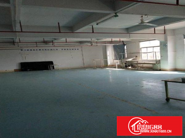 惠阳淡水惠阳一中附近新出带红本标准厂房一楼550平