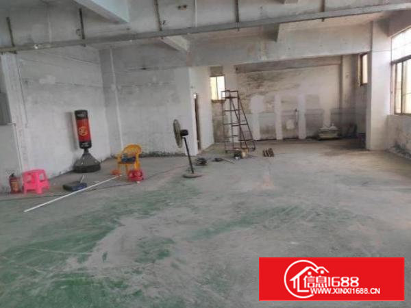 沙井地铁11号线附近厂房出租