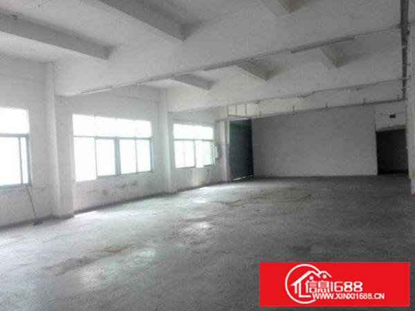 坪山江边新出楼上550平方带装修厂房出租