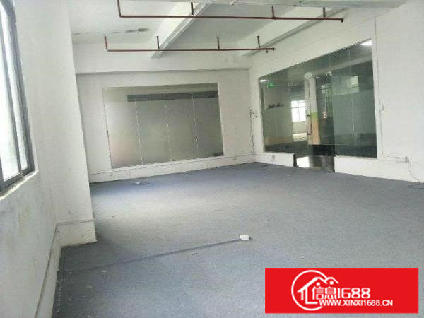 龙岗大型电商产业基地精装200平厂房出租22元一平起