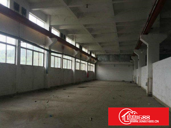 出租龙岗区龙岗大道原房东1楼1200平;高6.5米;带牛角