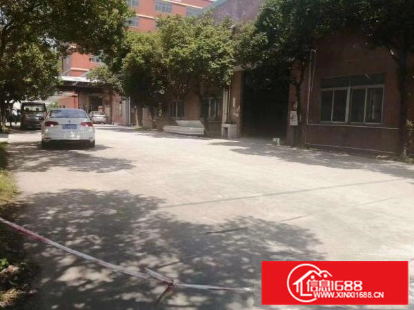 原房东单一层2000平砖墙独院厂房出租大空地滴水7米