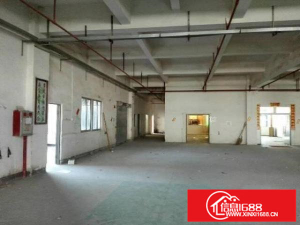 龙岗新生标准厂房一楼1200出租，可分租，适合五金，仓库