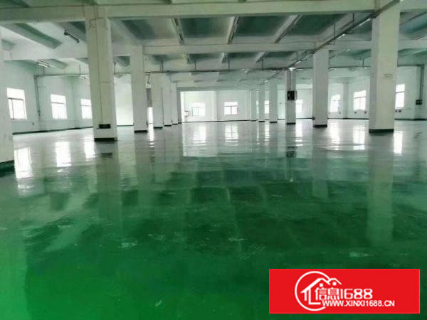 塘厦科苑城花园式园区内8米高独栋单一层