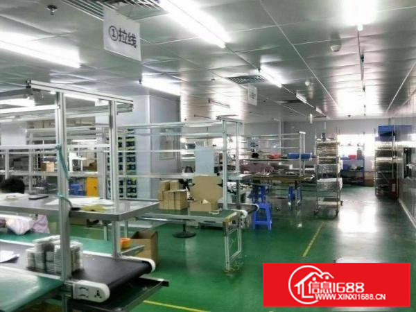 虎门南栅楼上带装修厂房2500平无转让费