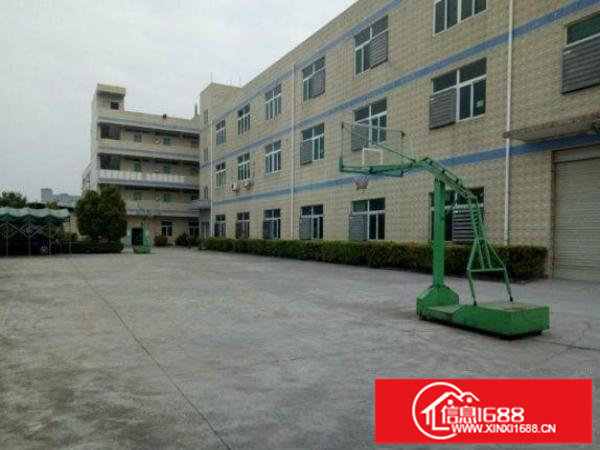 出租龙岗区龙东标准一楼厂房800平方米无公摊