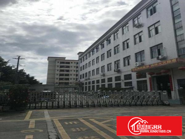 沙井107国道南浦路林坡坑工业区6500平独院招租